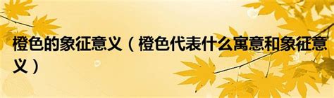 橙色代表什麼|橙色的含义是什么：象征意义、心理学和用途